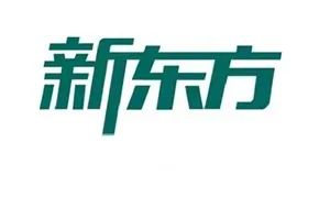成人外教一对一：[2025最新的前十个平台分析]排名前十的成人英语口语是什么？排名中哪些排名前10的公司有最好的结果？-第4张图片-阿卡索