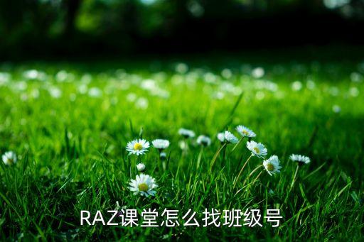 外教一对一讲解raz：raz课堂与海曼英语对比，哪个更具优势？-第2张图片-阿卡索