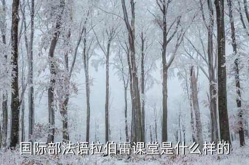外教一对一讲解raz：raz课堂与海曼英语对比，哪个更具优势？-第3张图片-阿卡索