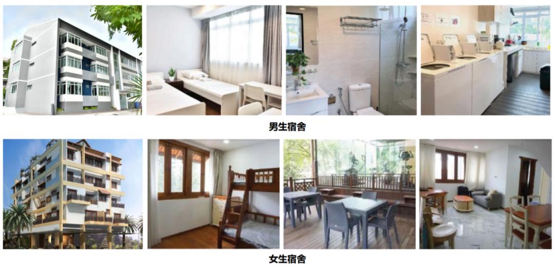 南大英语外教一对一：对父母的必看！免费在新加坡学习的60个地方-第9张图片-阿卡索