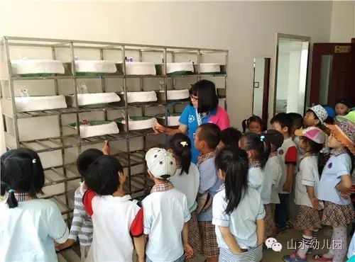 幼园中班英语外教一对一教学：Shanshui幼儿园社会实践活动中班，国际A类-第13张图片-阿卡索