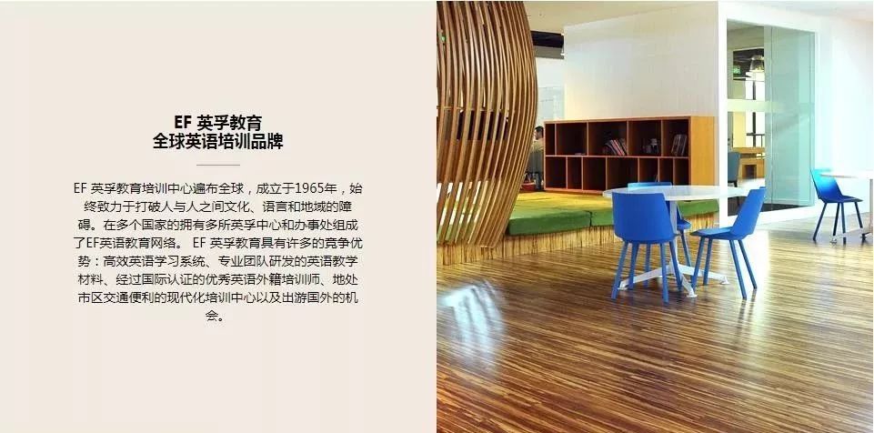 外教一对一 哈尔滨：好消息！ Harbin青年英语团队赢得了Sina五星级黄金老师奖！-第31张图片-阿卡索