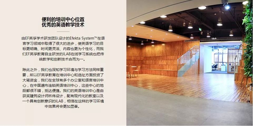 外教一对一 哈尔滨：好消息！ Harbin青年英语团队赢得了Sina五星级黄金老师奖！-第33张图片-阿卡索