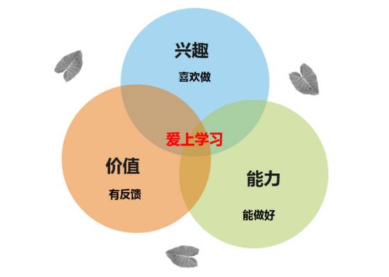 外教一对一 哈尔滨：Harbin City在第24章搜索教师和学生幸福的“密码”反思中的“密码”-第40张图片-阿卡索