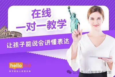 一对一外教哪个平台更好：哪个一对一的外教课程在2025年更好？比较前十名现场班级的实际影响，哪一个值得选择？-第17张图片-阿卡索