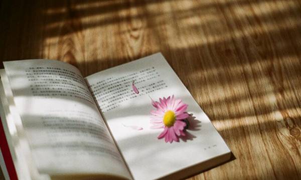 外教一对一口语课程价格几何？探究影响因素与市场行情