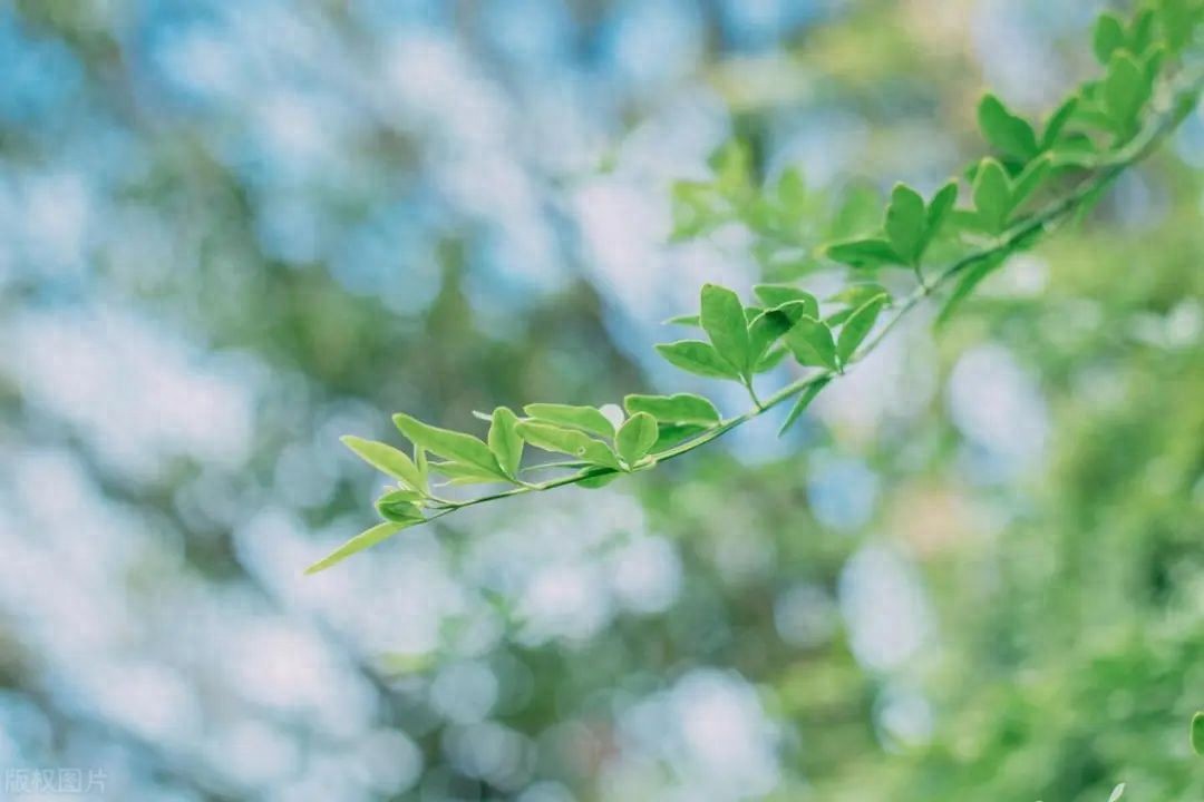 高途外教一对一英语靠谱吗：高途英语教得如何？老学员分享掏心窝子的真实体验