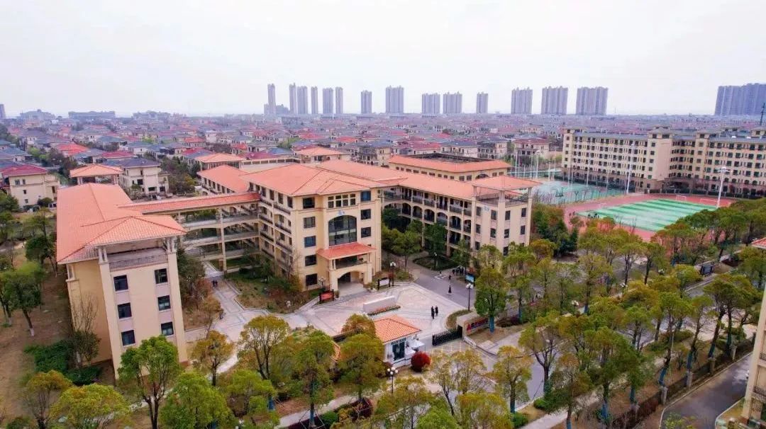 启东外教一对一老师：2023录取册|输入Qiwai并开会高质量的教育-第8张图片-阿卡索
