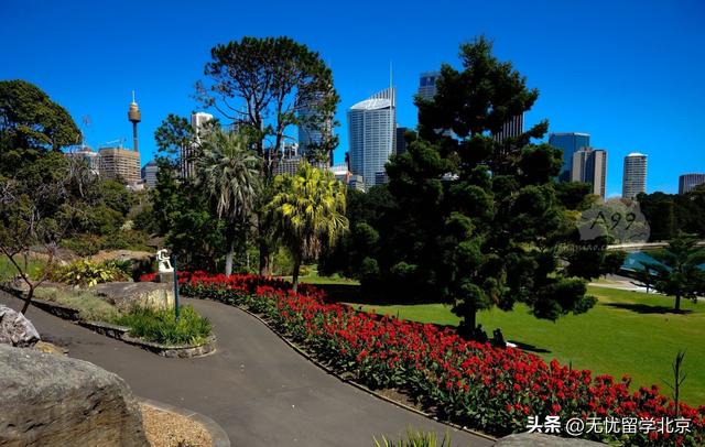 青岛雅思外教口语一对一怎么样：青岛澳洲留学中介实力大测评，精准匹配留学需求-第3张图片-阿卡索