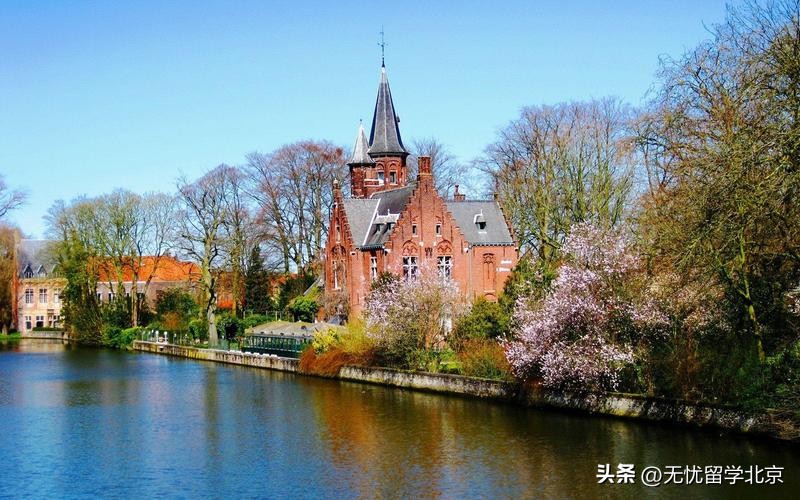 青岛雅思外教口语一对一怎么样：青岛澳洲留学中介实力大测评，精准匹配留学需求-第4张图片-阿卡索