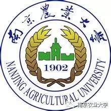 南农英语外教一对一：nauer |让我们看一下Nannong最帅的英语外教！-第6张图片-阿卡索