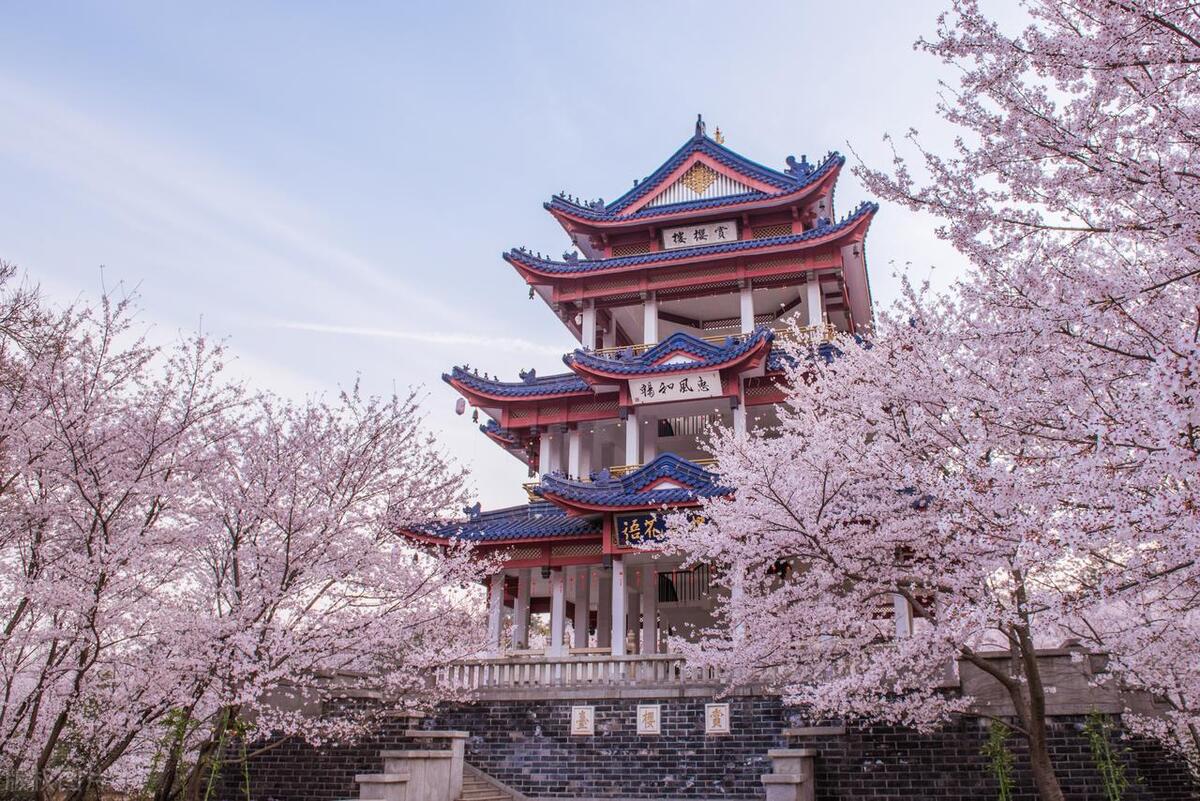 无锡英语外教私教一对一价格：无锡保姆级旅游攻略：景点、路线、交通、美食全涵盖-第7张图片-阿卡索