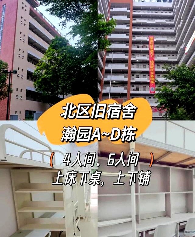深圳外教一对一费用多少：深圳职业技术大学2025年新生收费标准，校园生活指南来啦-第3张图片-阿卡索