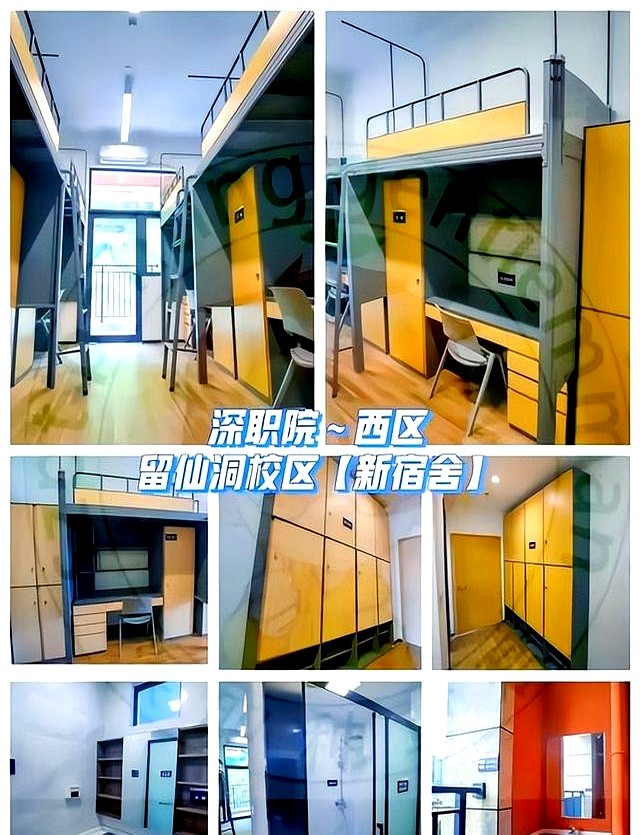 深圳外教一对一费用多少：深圳职业技术大学2025年新生收费标准，校园生活指南来啦-第7张图片-阿卡索