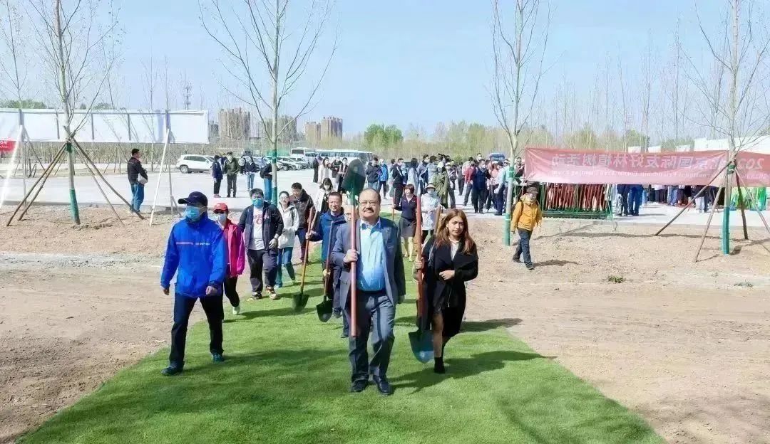 北京留学生外教一对一：2023让我们一起走 - 我和北京iBeijing-第7张图片-阿卡索