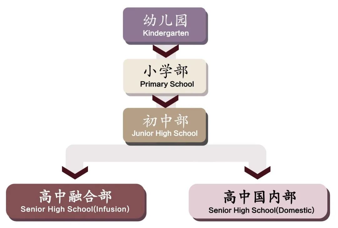 嘉兴英语外教一对一老师：信息差距有多重要？普娃转学到“仙女学校”，成为尖子生，为出国留学铺平了道路。-第6张图片-阿卡索