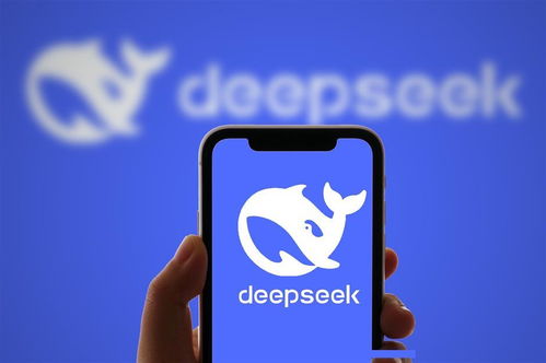 去哪找外教一对一：从初学者到熟练程度的DeepSeek：DeepSeek口语英语练习