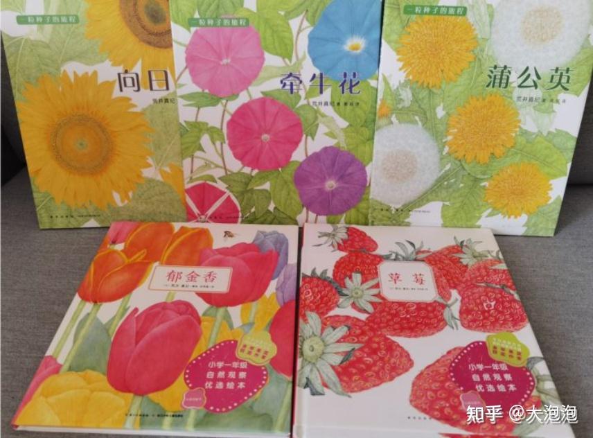 幼园需要一对一外教吗：幼儿园老师邀家长进课堂当小老师，该准备些什么？-第2张图片-阿卡索