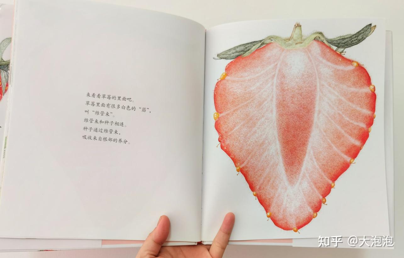 幼园需要一对一外教吗：幼儿园老师邀家长进课堂当小老师，该准备些什么？-第6张图片-阿卡索