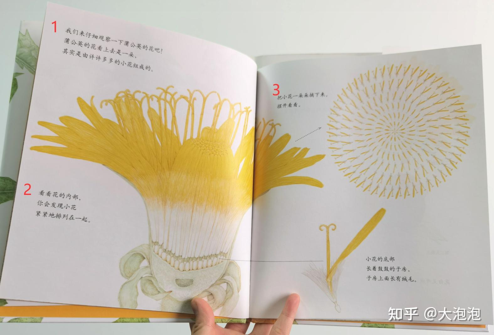 幼园需要一对一外教吗：幼儿园老师邀家长进课堂当小老师，该准备些什么？-第8张图片-阿卡索
