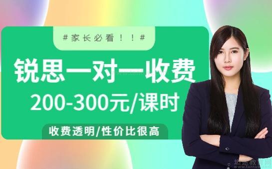 上海一对一外教收费标准文件：2025锐思一对一收费一览表，性价比高究竟体现在哪？
