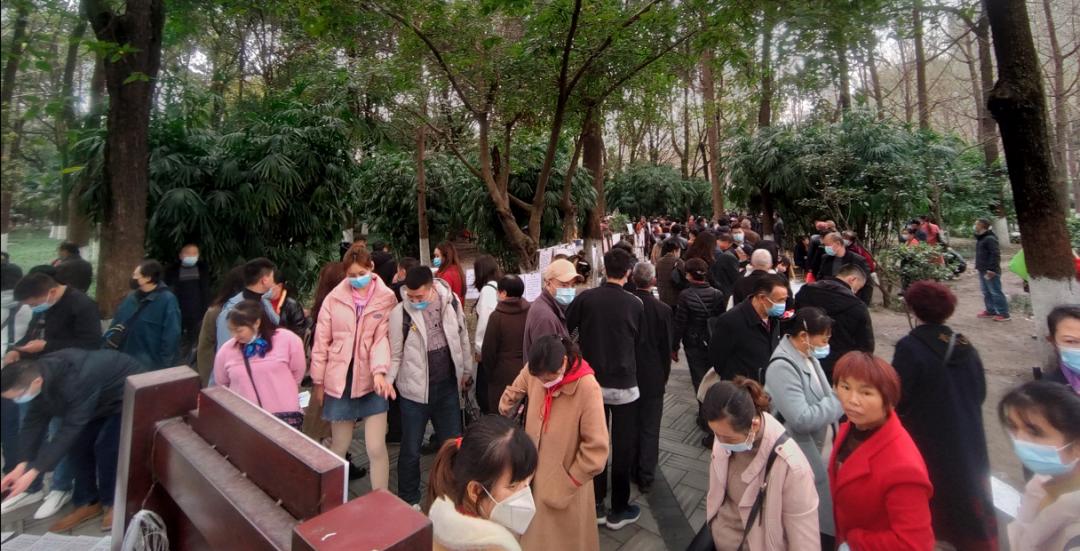 成都阿卡索：成都大哥人民公园帮老外相亲，全程高能！你见过这场面吗？-第1张图片-阿卡索