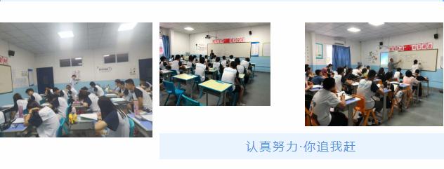 11元一对一外教：星火教育一对一收费标准及价格贵不贵相关问题-第4张图片-阿卡索