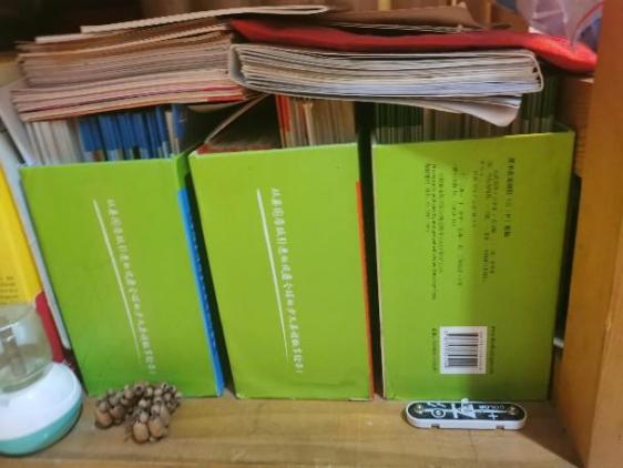 到底先分级阅读还是先一对一外教：孩子9岁才开始英文阅读，需不需要拉听力、背单词？-第6张图片-阿卡索