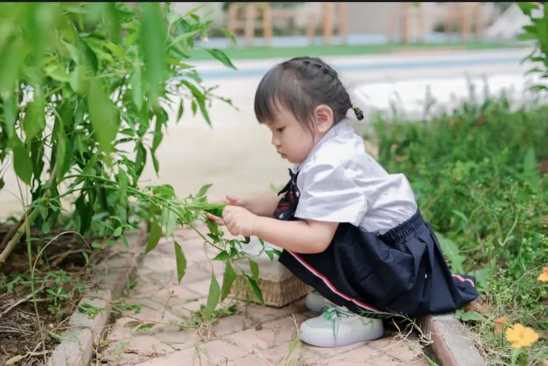 长沙请外教一对一：Suxiang幼儿园的2025-2026学年的注册频道，Suzhou外语学校的Changsha校园已正式开业！-第25张图片-阿卡索