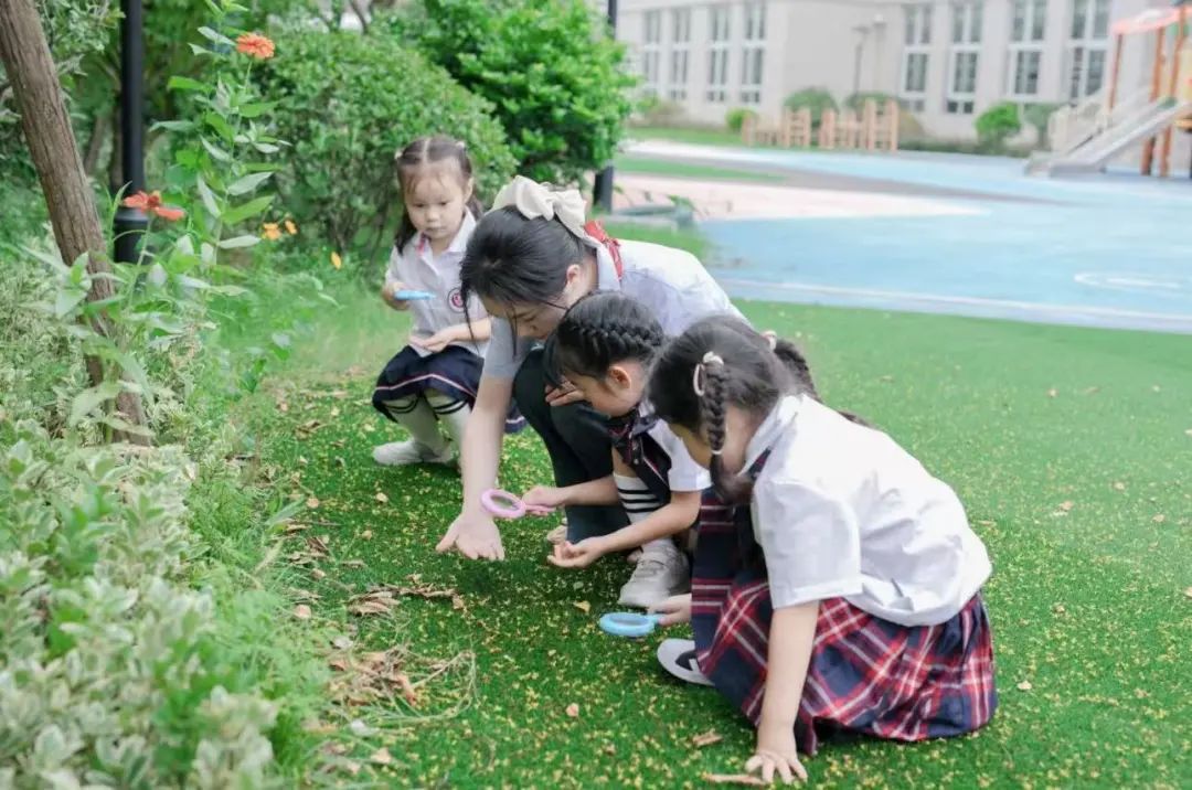 长沙请外教一对一：Suxiang幼儿园的2025-2026学年的注册频道，Suzhou外语学校的Changsha校园已正式开业！-第8张图片-阿卡索