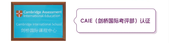 苏州一对一英语外教：打开第一个模型后的咨询渠道，解锁语言反击新曲目| 2025年苏州国际第一学院的入学宣传册-第14张图片-阿卡索